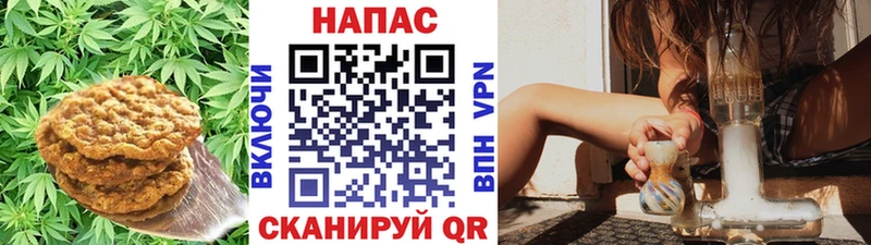 гидра как зайти  Кисловодск  Canna-Cookies конопля 