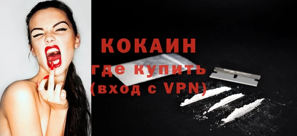 индика Новоуральск