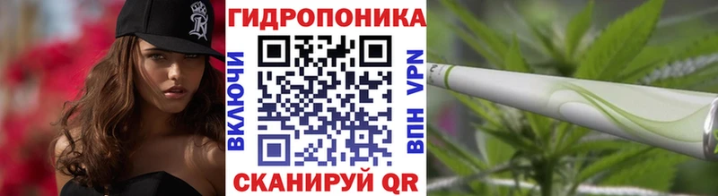 Марихуана OG Kush Кисловодск